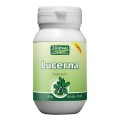Lucerna 60+18db Zöldvér