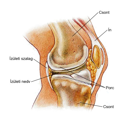 lábfájdalom lábízület hogyan lehet gyógyítani a váll fájdalmat az ízületben